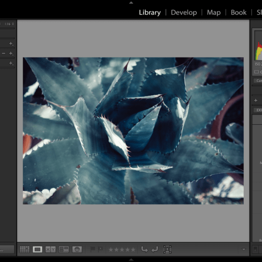 The Journey of the Pixel, Part 3: Culling Photos in Lightroom