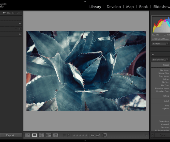 The Journey of the Pixel, Part 3: Culling Photos in Lightroom