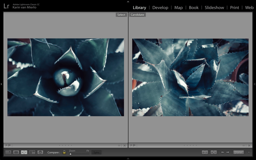 The Journey of the Pixel, Part 3: Culling Photos in Lightroom