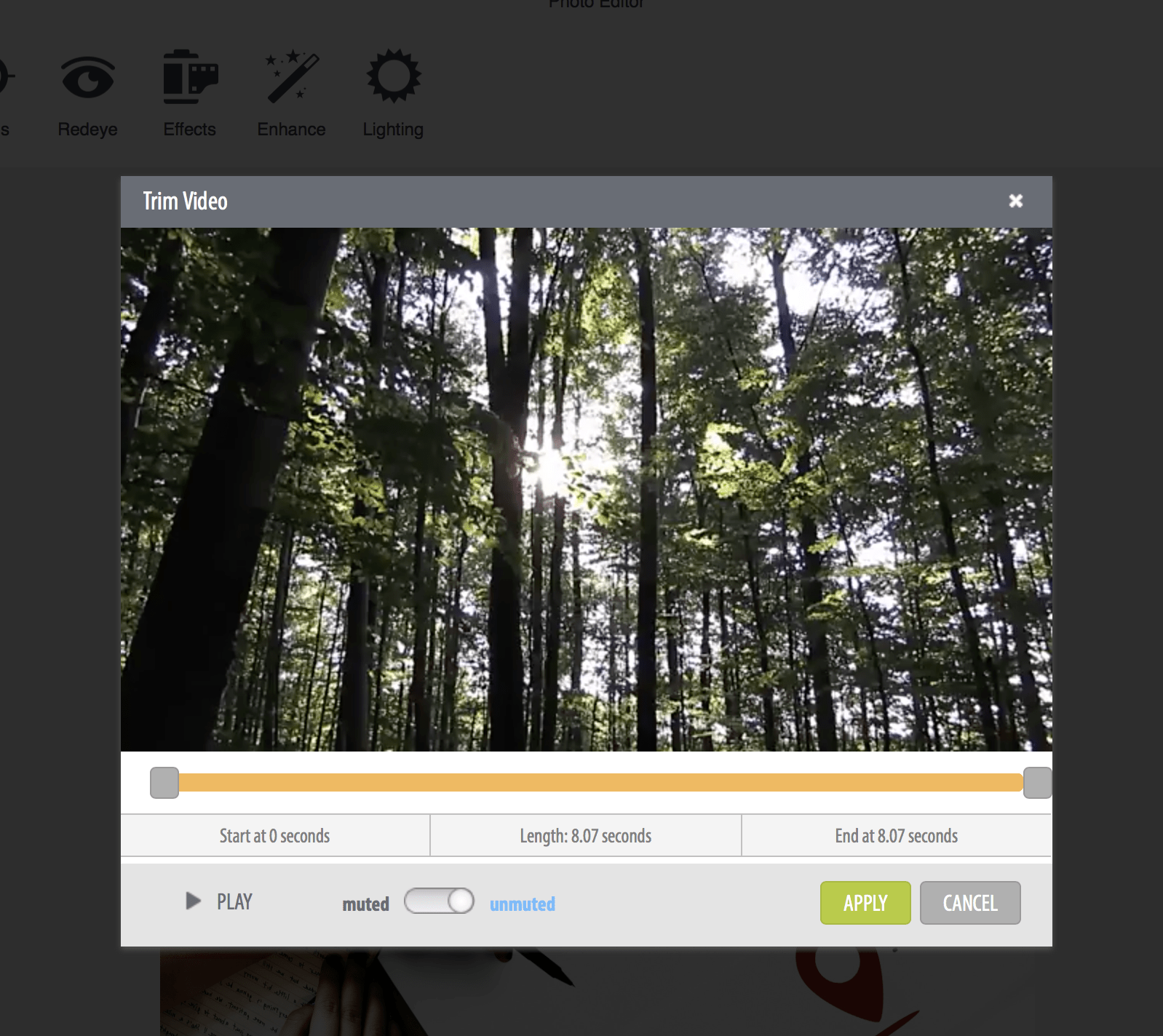 How to Create a Photo and Video Slideshow Like a Pro with ProShow Web | OrganizingPhotos.net certifique-se de aparar os seus vídeos ao tamanho certo!