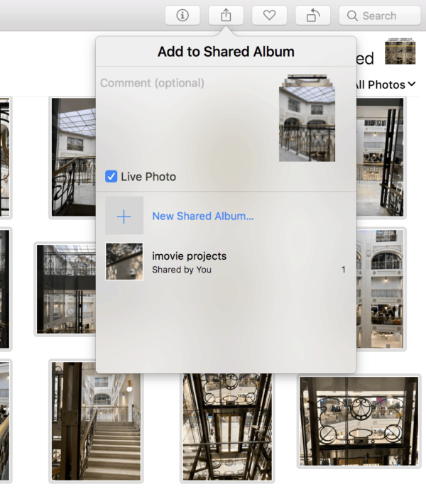 How to Use iCloud Photos for Organizing Memories | OrganizingPhotos.net